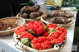 云南臨滄吹響綠色食品集結(jié)號(hào) 打造高原特色農(nóng)產(chǎn)品新高地