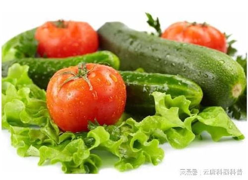 農(nóng)產(chǎn)品農(nóng)藥殘留檢測(cè)儀器 保障食品安全的科學(xué)利器