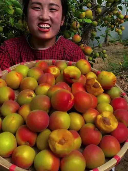 優(yōu)質(zhì)農(nóng)產(chǎn)品的價(jià)值與未來(lái)發(fā)展路徑