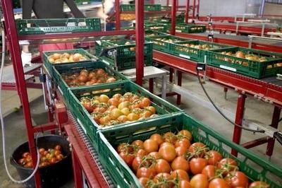 探索建設現代化農產品市場物流體系，打通農產品上行之路