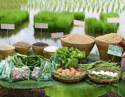 我國農產品質量安全持續向好 合格率連續六年穩定在97%以上